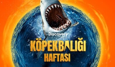 Köpekbalığı Haftası ile Discovery’de Nefes Kesen Macera!