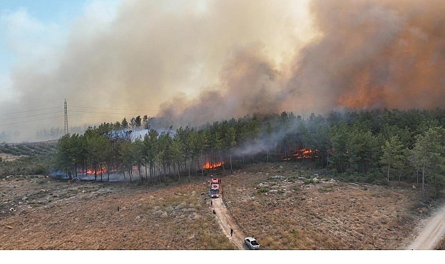 Antalya’da Dört Noktada Orman Yangını Paniği