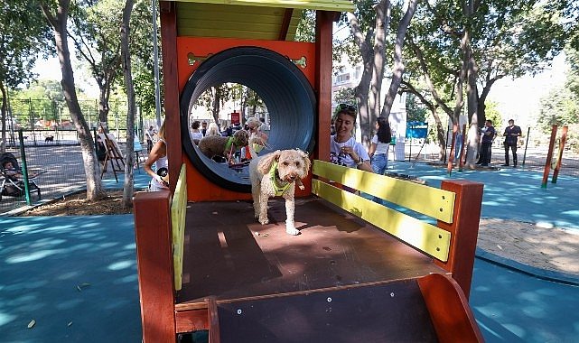 Bakırköy’de İkinci Köpek Parkı Hizmete Girdi