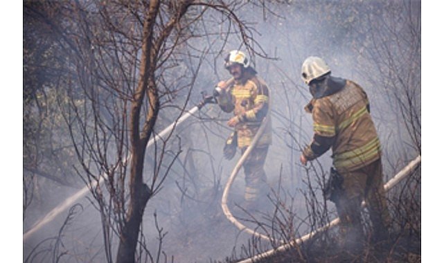 İzmir’in Orman Yangını Risk Haritası Açıklandı