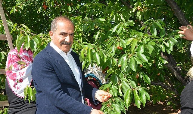 Uçak; “Don kirazı, kiraz ihracatı vurdu”