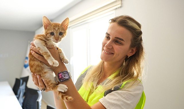 Antalya’da Yavru Kedi Boğaçayı’ndan Kurtarıldı