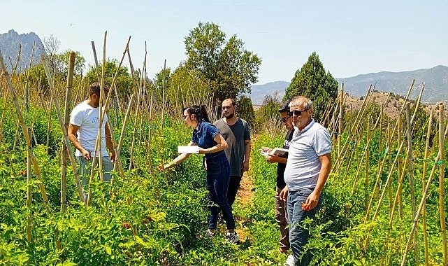 Çankaya Belediyesi Organik Pazar Denetimlerini Sıkılaştırdı