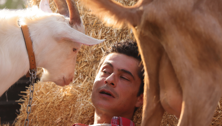 TRT 1’in Yeni Dizisi Cennetin Çocukları ile Tanışın