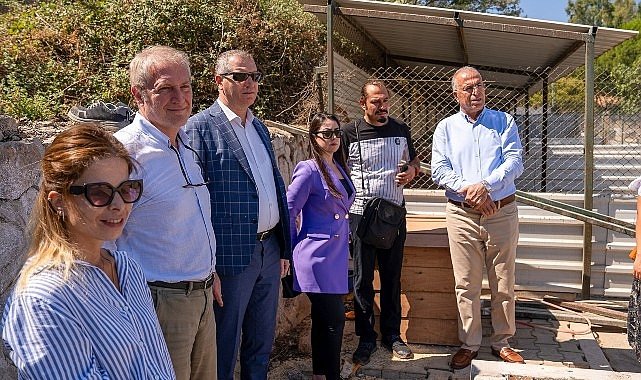 Gaziemir’de Sokak Hayvanları İçin Yeni Barınak Projesi