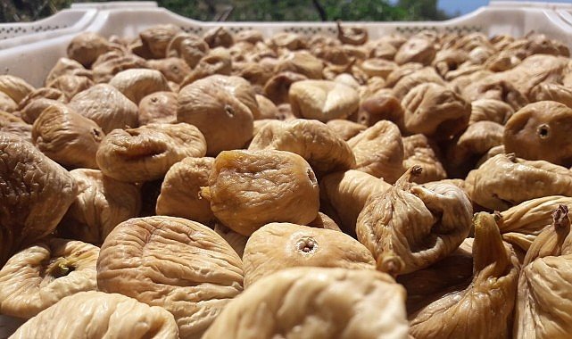 Kuru İncirde Kalite ve İhracat İçin 19 Bin Kerevet Dağıtımı