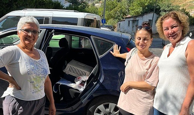 Narlıdere’de Sokak Kedileri İçin Kısırlaştırma Seferberliği