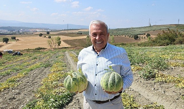 Nilüfer’de Kavun Üretimi Yüzde 100 Arttı