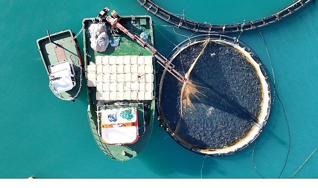 Türk Somonu Dünya Pazarında Fark Yaratıyor: 4 Dilde Tanıtım Filmi