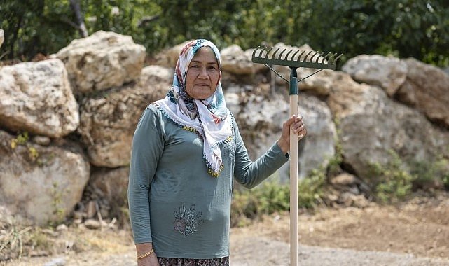 Yenişehir’de Safran Üretimi Yaygınlaşıyor