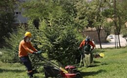 Çankaya Parkları Yaz Döneminde Yenileniyor