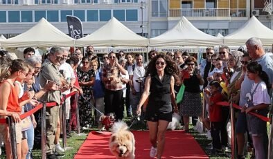 Konak’ta 6. Patilerin Festivali Sahiplendirme İçin Kapılarını Açıyor